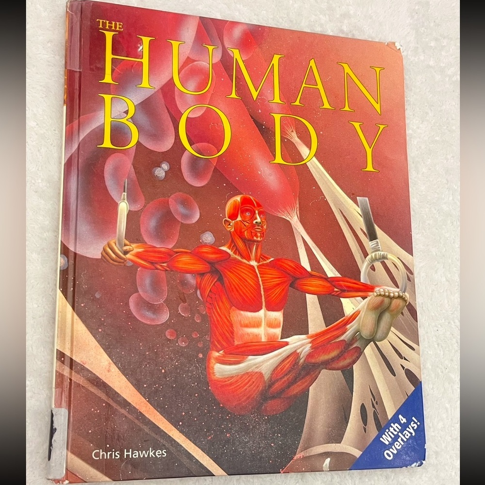 Medical Books - Picture 7 of 11